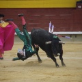 Castellón, Magdalena 2013