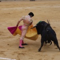 Castellón, Magdalena 2013