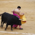 Castellón, Magdalena 2013