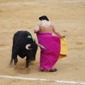 Castellón, Magdalena 2013