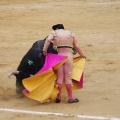 Castellón, Magdalena 2013