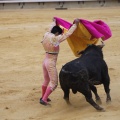 Castellón, Magdalena 2013