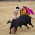 Castellón, Magdalena 2013
