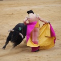 Castellón, Magdalena 2013