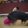 Castellón, Magdalena 2013