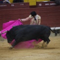 Castellón, Magdalena 2013
