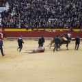 Castellón, Magdalena 2013