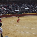 Castellón, Magdalena 2013