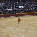 Castellón, Magdalena 2013