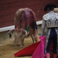 Castellón, Magdalena 2013