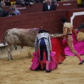 Castellón, Magdalena 2013