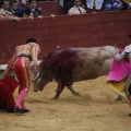 Castellón, Magdalena 2013