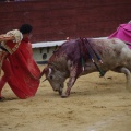 Castellón, Magdalena 2013