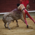 Castellón, Magdalena 2013