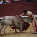 Castellón, Magdalena 2013