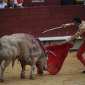 Castellón, Magdalena 2013