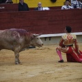 Castellón, Magdalena 2013
