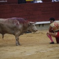Castellón, Magdalena 2013