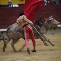 Castellón, Magdalena 2013
