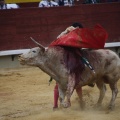 Castellón, Magdalena 2013