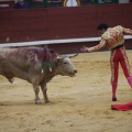 Castellón, Magdalena 2013