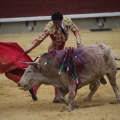Castellón, Magdalena 2013