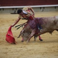 Castellón, Magdalena 2013