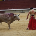 Castellón, Magdalena 2013