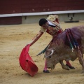 Castellón, Magdalena 2013