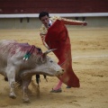 Castellón, Magdalena 2013