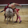 Castellón, Magdalena 2013
