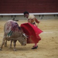 Castellón, Magdalena 2013