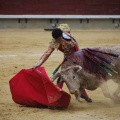 Castellón, Magdalena 2013