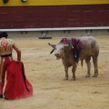 Castellón, Magdalena 2013