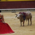 Castellón, Magdalena 2013