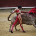 Castellón, Magdalena 2013