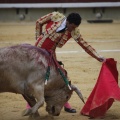 Castellón, Magdalena 2013