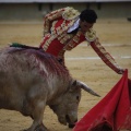 Castellón, Magdalena 2013