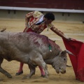 Castellón, Magdalena 2013