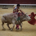 Castellón, Magdalena 2013