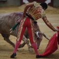 Castellón, Magdalena 2013