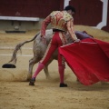 Castellón, Magdalena 2013