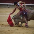Castellón, Magdalena 2013