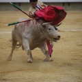 Castellón, Magdalena 2013