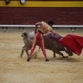 Castellón, Magdalena 2013