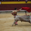 Castellón, Magdalena 2013