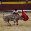 Castellón, Magdalena 2013