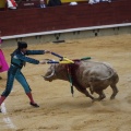Castellón, Magdalena 2013