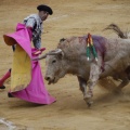 Castellón, Magdalena 2013