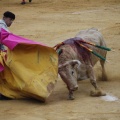 Castellón, Magdalena 2013